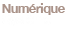 Numérique Système logo